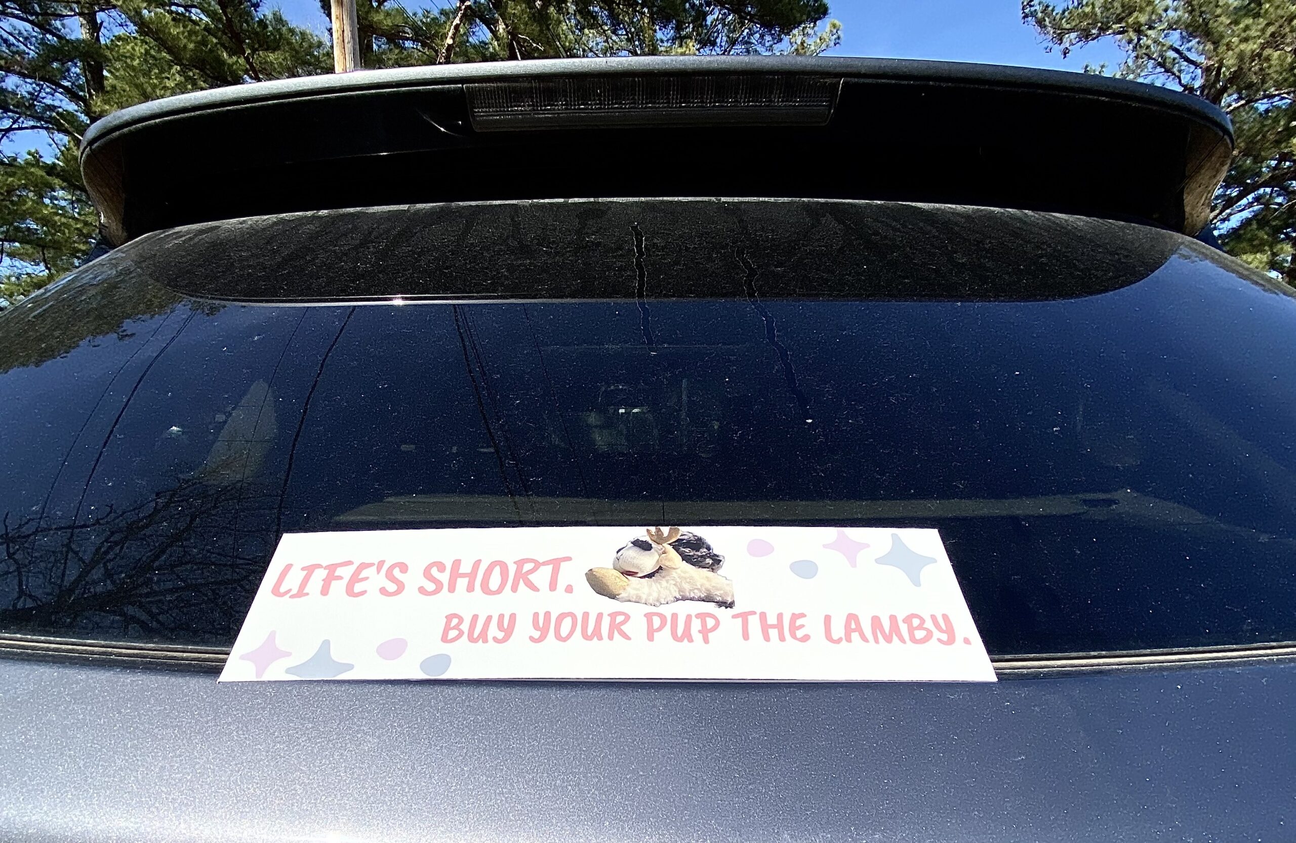 Buy the Lamby - Image 3