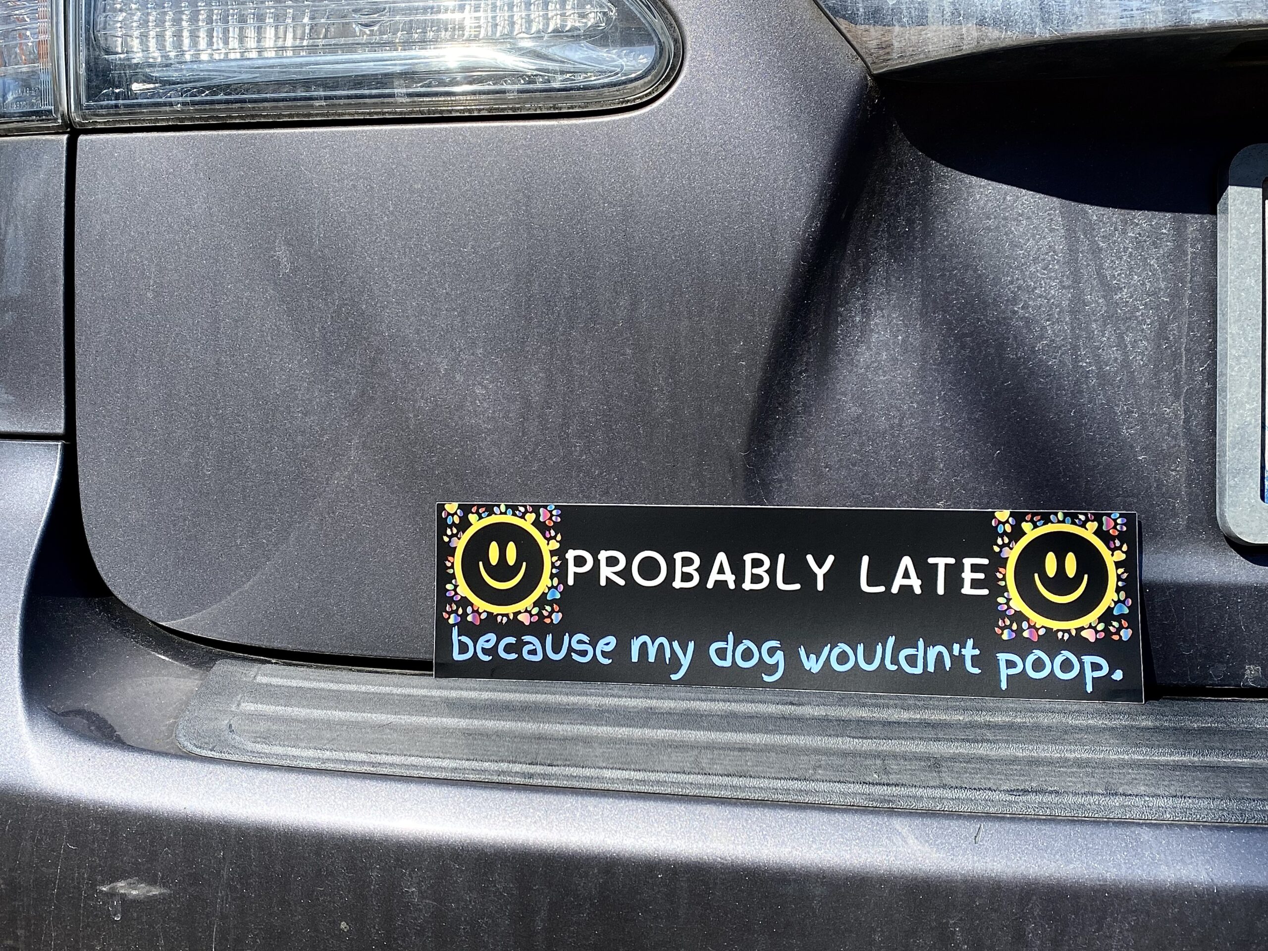 Poop Problems - Image 3