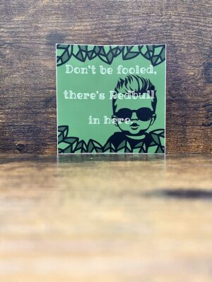 Fool You Once, Shame on Me