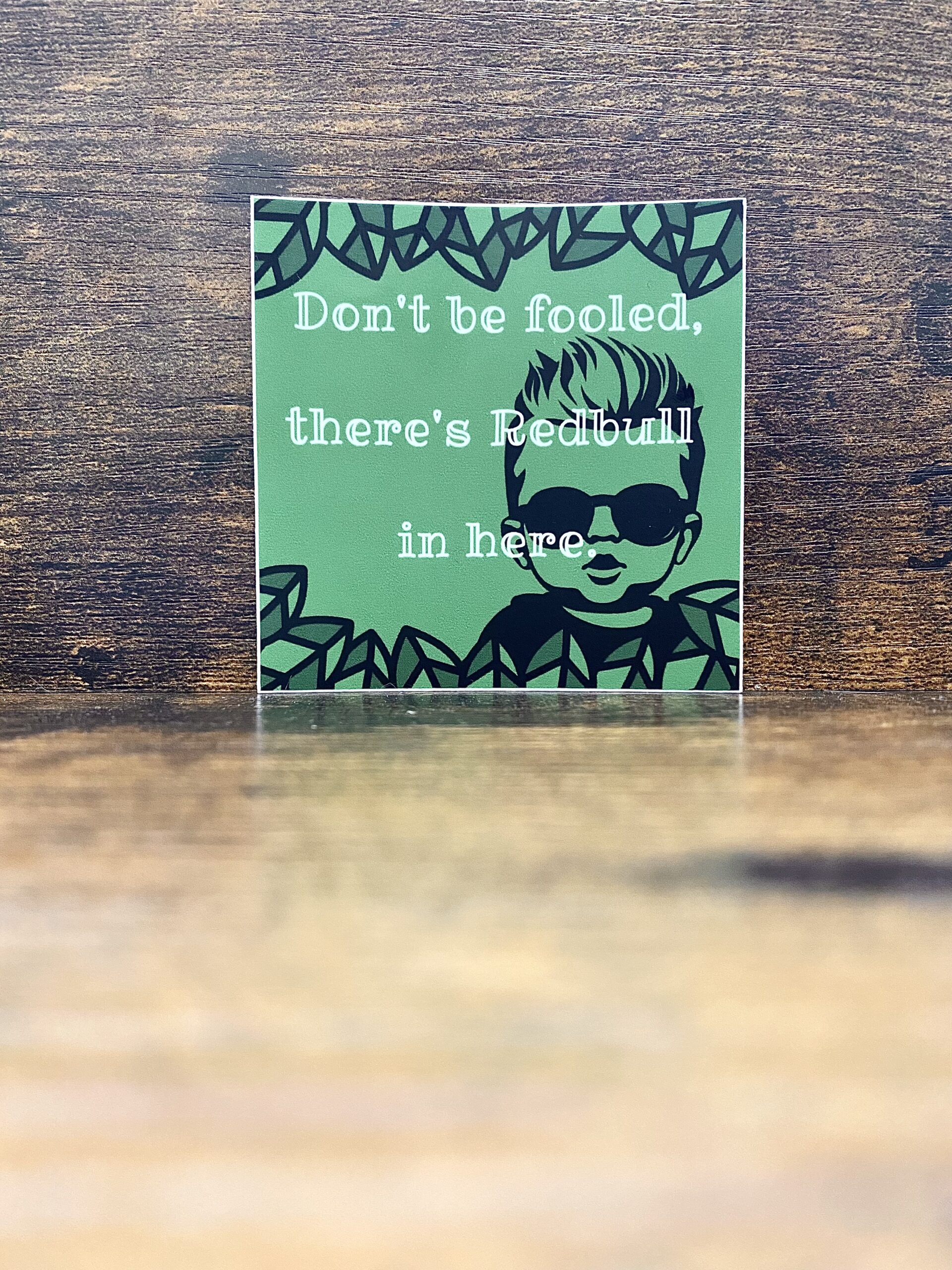 Fool You Once, Shame on Me